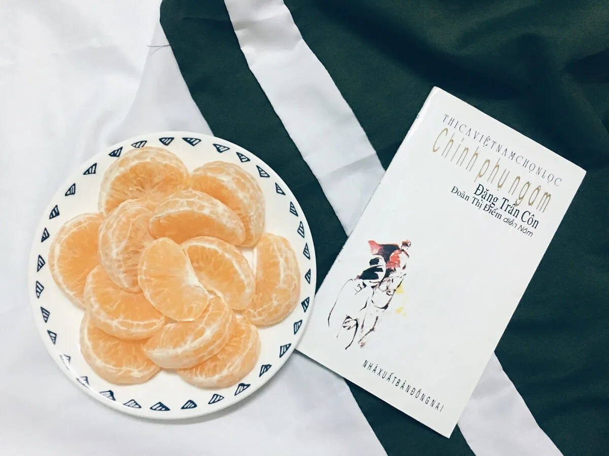 Chinh phụ ngâm – Chiến tranh và hòa bình qua lăng kính của người chinh phụ.