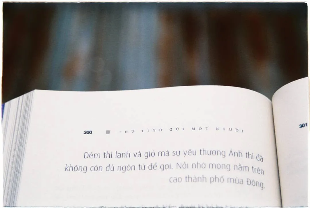 Thư tình gửi một người – Dòng nước ngầm không quên lãng sau những bài ca nhạc Trịnh