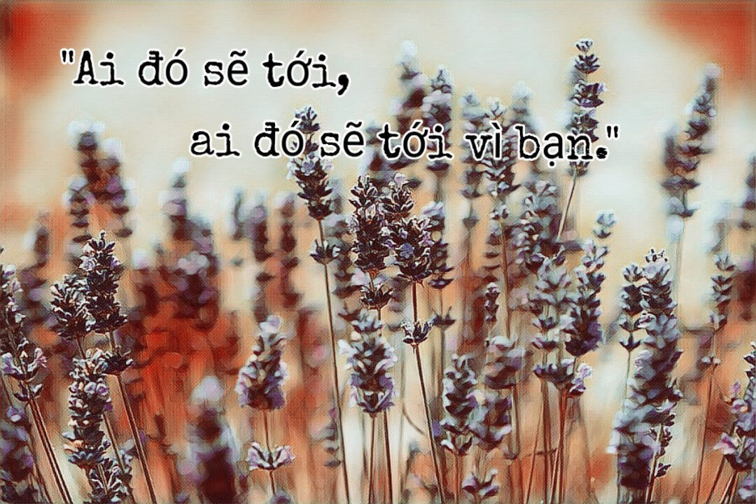 Edward Tulane trên kệ đồ chơi