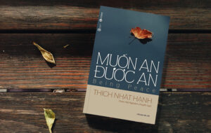 Review sách Muốn an được an – Thiền sư Thích Nhất Hạnh