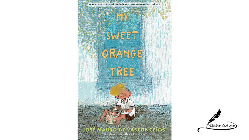 My sweet orange tree book review
